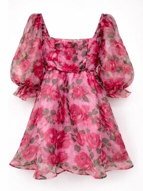Thirty Thirty LA Floral Mini Dress Pink Puff Sleeve Cottagecore M